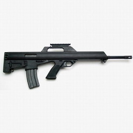 Bushmaster M-17S 5.56 mm Rifle