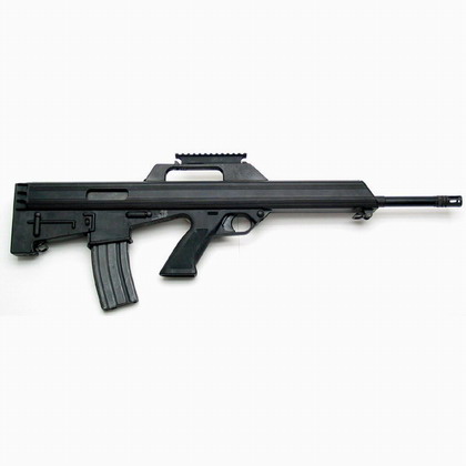 Bushmaster M-17S 5.56 mm Rifle