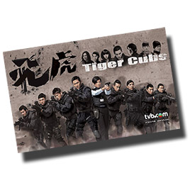 Hong Kong TV Drama: Tiger Cubs